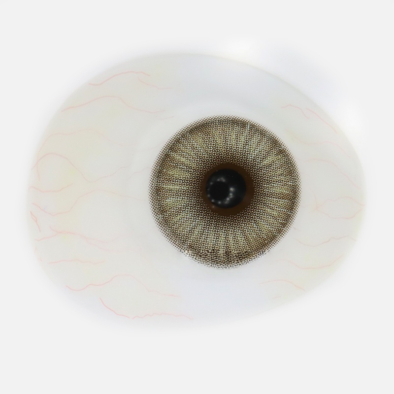 Uniieye Gorgeous Gray Colored Contact Lenses | 1 Year